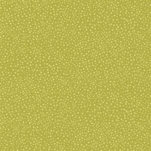 Choose To Shine By Contempo Studio For Benartex - Medium Lime
