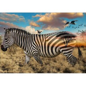 Call Of The Wild Digital Print By Hoffman - Zebra