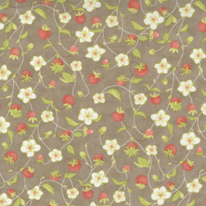 Strawberries And Rhubarb By Fig Tree & Co. For Moda - Slate