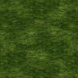 World Cup By Kanvas Studio For Benartex - Digital - Dark Green