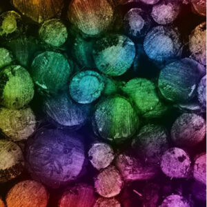 Radical Rainbow Digital Print By Hoffman - Multi