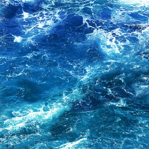 Oceana By Kanvas Studio For Benartex - Digital - Ocean Blue
