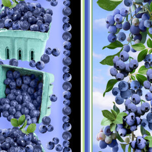 Blueberry Hill By Kanvas Studio For Benartex - Digital Print - Blue