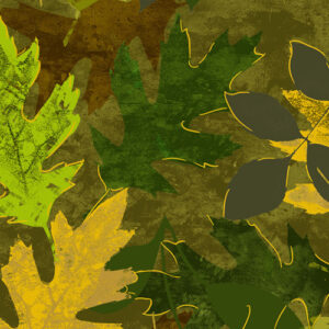 Autumn Comfort Flannel By Kanvas Studio For Benartex - Olive/Green