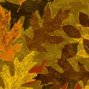 Autumn Comfort Flannel By Kanvas Studio For Benartex - Sepia