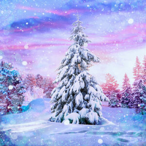 Winter Bliss By Hoffman - Digital Print - Sugarplum