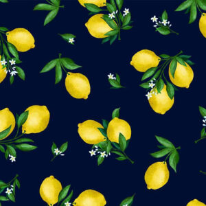 Lemon Fresh By Monkey Mind Design For Michael Miller - Navy