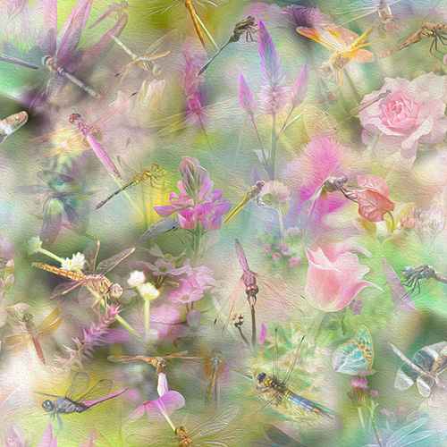 Wild Flowers - Digital - Meadow