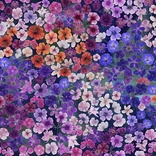 Wild Flowers - Digital - Violet