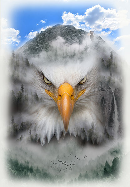 Call Of The Wild - Eagle - Digital - Fog