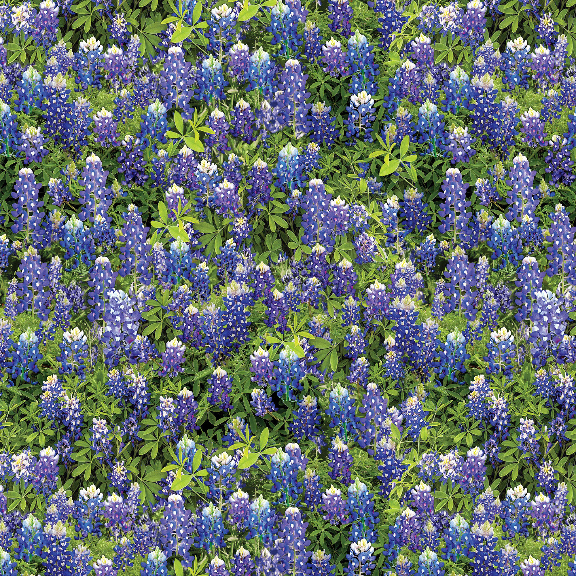 Flowers Of Friendship By Kanvas Studio For Benartex - Digitally Printed - Blue