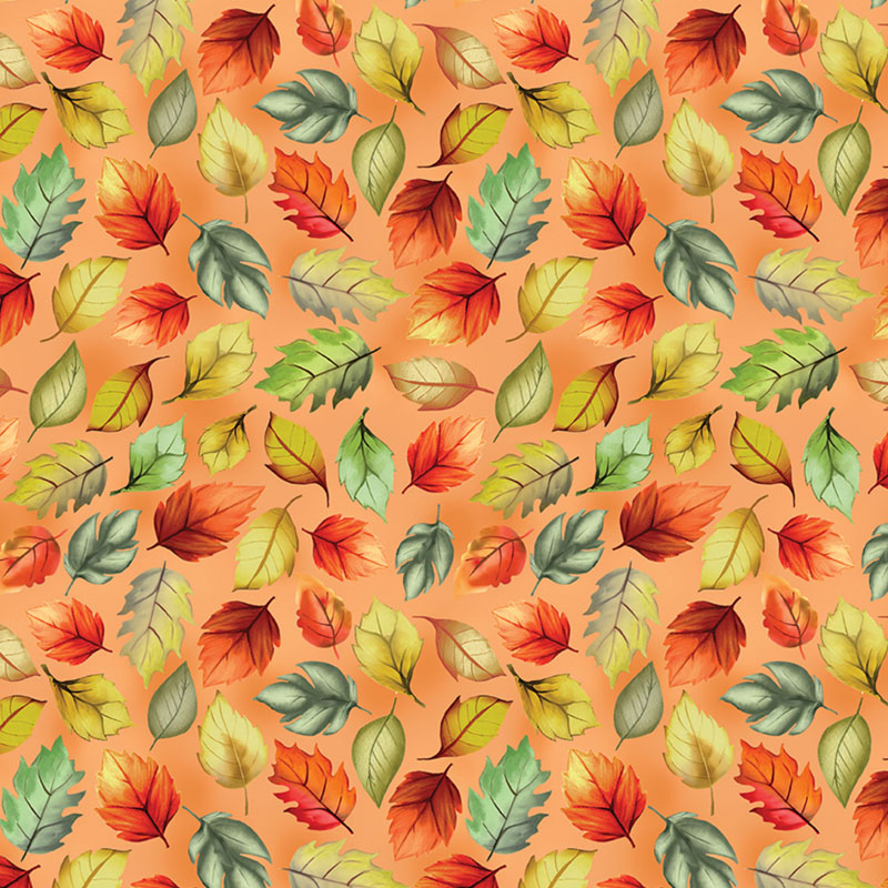 Give Thanks By Kanvas Studio For Benartex - Digitally Printed - Orange