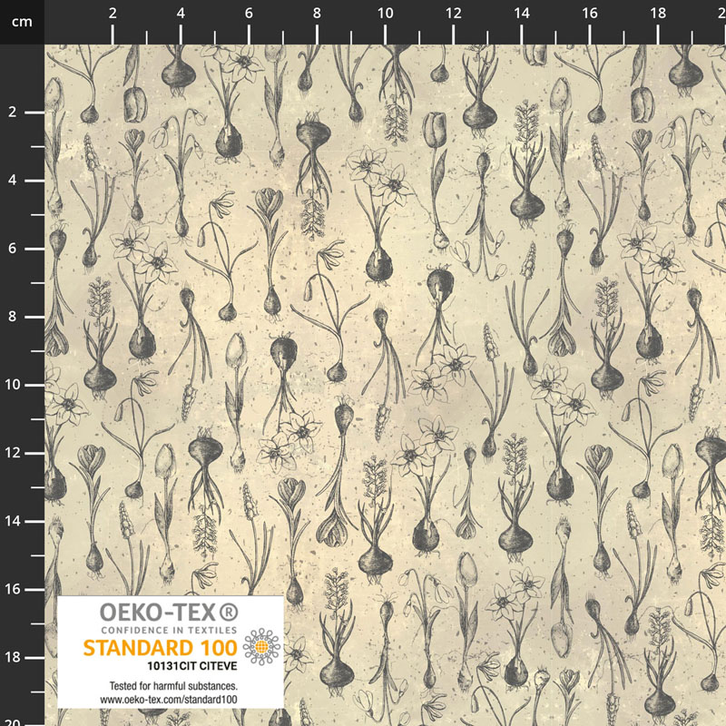 Vintage Windflower By Stof