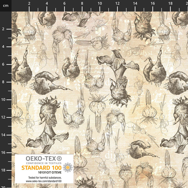 Vintage Windflower By Stof