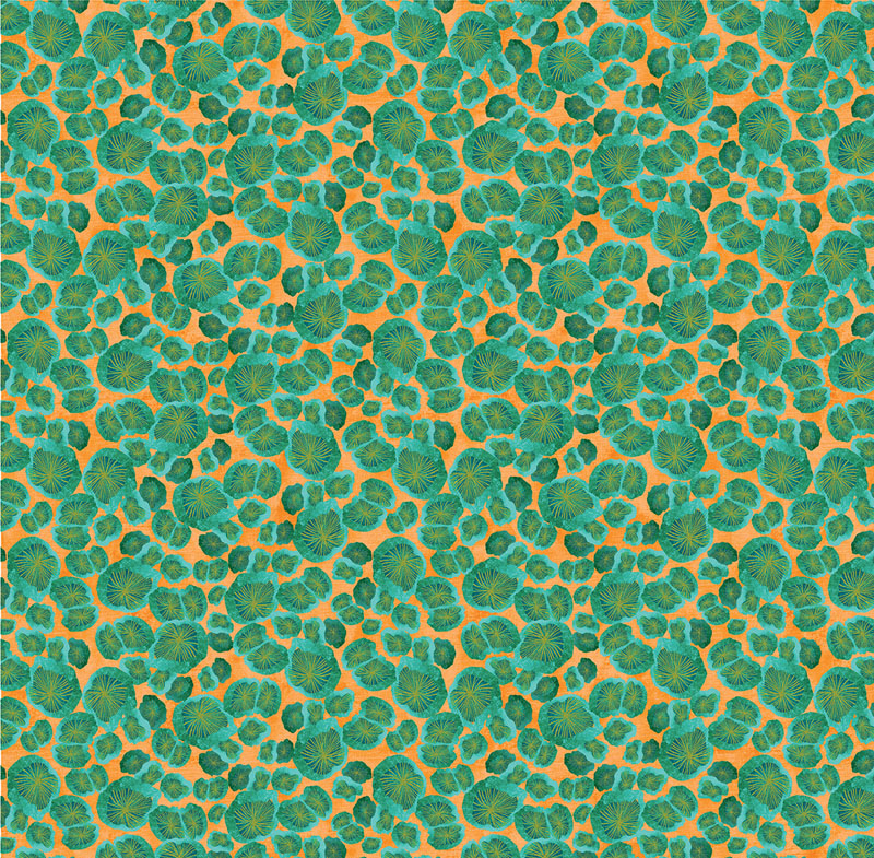 Modern Mushrooms By Kate Segal For Benartex - Digitally Printed - Teal/Orange