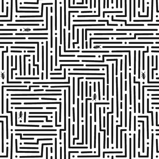 Lucky Bugs By Contempo Studio For Benartex - Black/White