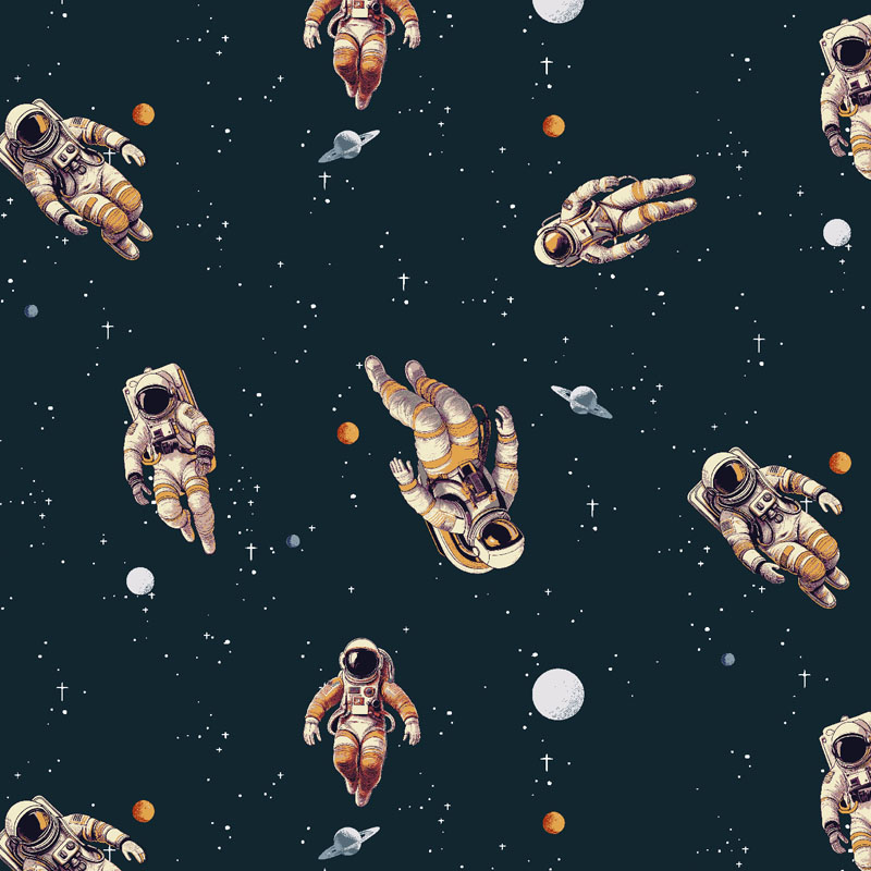 Beyond The Horizon By Rjr Studio For Rjr Fabrics