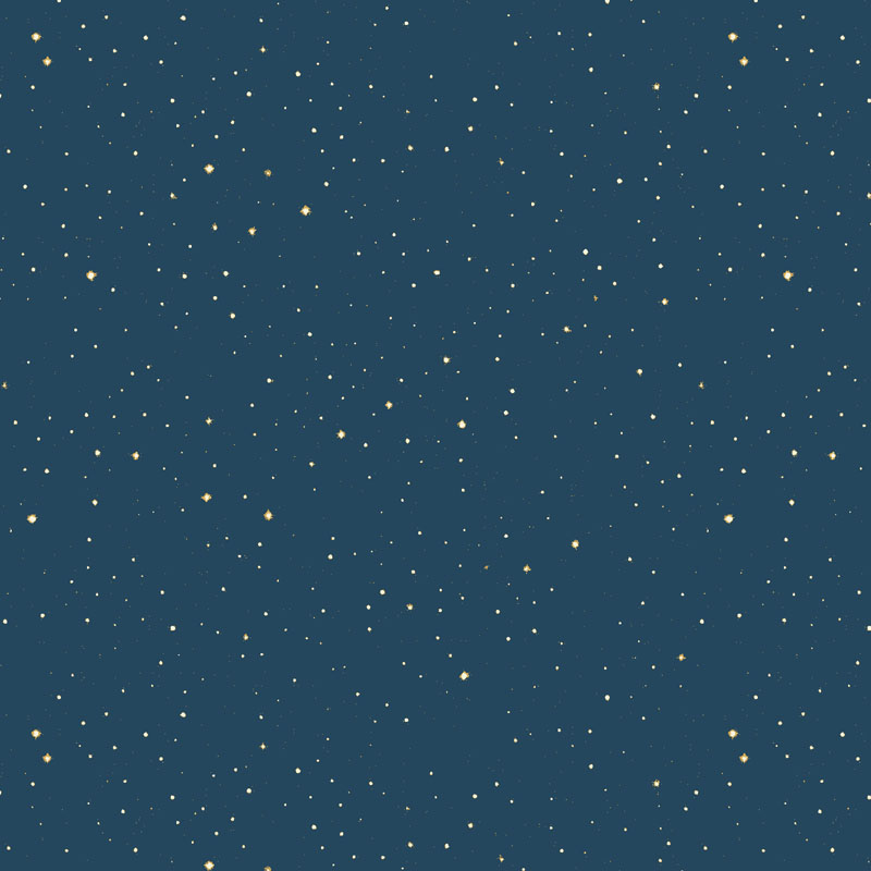 Beyond The Horizon By Rjr Studio For Rjr Fabrics