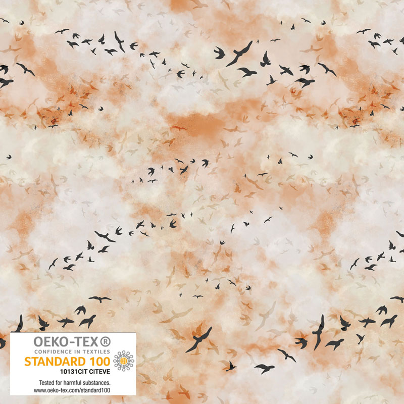 Morning Lights By Stof