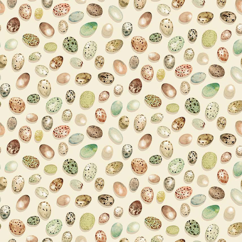 From Little Acorns By Michael Miller - Cream